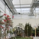 순천만가든 | [순천] 정원수, 정원자재 원스톱 쇼핑몰 &#39;순천만 가든마켓&#39; 구경 후기