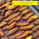 삼시한끼고구마 이미지