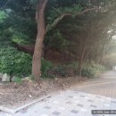 정평공원 이미지