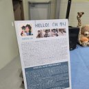 염소꿈농원 | 2025 대구청년정책네트워크 워크숍 1일차 로컬기업 탐방 '꿈그린 농원'에서 바나나 따고 푸딩 만들기