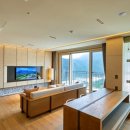 소노펠리체 델피노 이미지