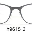 H9615 이미지