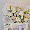 플레르드레브 이미지
