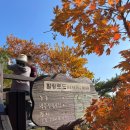 개인화물1184 | [대구 팔공산] 단풍 놀이 맛집 팔공산 케이블카 (주차장 정보,플라잉메밀)