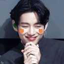 네모 이미지