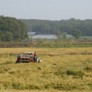 울진중앙농업협동조합 근남지점 이미지