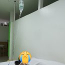 김병원 | [세부한달살기] 1. 막탄 김병원 방문 및 진료 후기