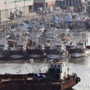 진안-진안-비상-27 이미지