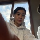 겨우리애견 이미지