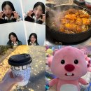 로이스제일치과병원 | 11월 셋째주 포토 다이어리