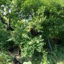 정금농장 이미지