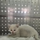 서부산업도로 이미지