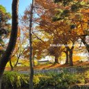 [대구 동구 팔공산] 대구 야외촬영 명소 대구 유일 한옥마을🍁🍂 : 대구옻골마을(대구둔산동경주최씨종택)
