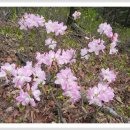 무학산 둘레길 이미지