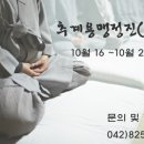 정진