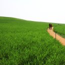 학의농장 이미지