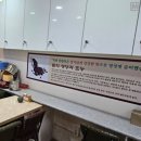 홍헤원
