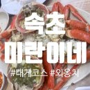 미란이네 | [속초/외옹치항] 롯데리조트 근처 외옹치항 맛집 '미란이네횟집' 대게 A코스 내돈내산 솔직후기