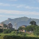 연근농장 이미지