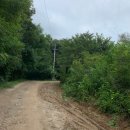 미나목장 이미지