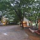 자연주의쌈밥 티스토리