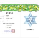 숙명여대 바이올린 입시 선생님 / 숙대 합격 후기
