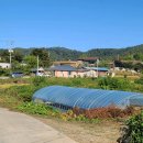 임실자연농원 이미지