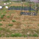 아빠농장 이미지