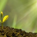 희망의메세지 이미지