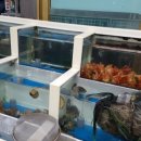 똑순이네수산 이미지