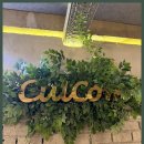 N반 영어회화 왕초보 | 건대 영어회화 학원, 왕초보부터 고급레벨까지