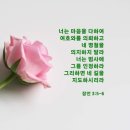 성구 네이버블로그
