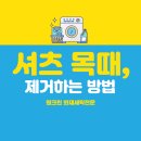 크린케어세탁전문점 이미지