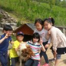 하연영재과학교습소 - 서초구 신반포로 165 | 하연영재과학교습소