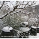 계산농장 이미지