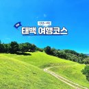 태백타이어 할인매장 | 강원도 태백 여행코스 추천 초록뿔언덕카페 석탄박물관(+강원생활도민증)