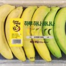 바나나스토리 이미지
