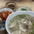 제주도에서 뭐 먹었냐면..