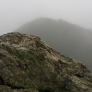 1박2일 위 이미지