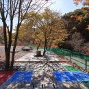 선달산캠핑장