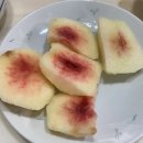 [양림동 술집 추천] 양림동 오무이 고래 wamma 세곳 다녀온 솔직 후기