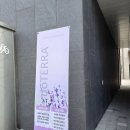 라미공방 | 시흥 은계 아로마공방 라미공방 도테라오일 미스트 만들기 힐링 수업 후기