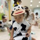 🐮젖소농장🐮 이미지