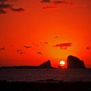 우연과 만남의 교감 이미지