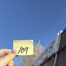 용산식당 | [경주] 용산회식당 회덮밥 주말 웨이팅 후기