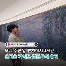 스마트폰 제대로 즐기기 | 파리 오랑주리 미술관 오디오 가이드로 투어 없이 모네 수련 제대로 즐기기