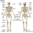 하리옴요가 - 여주시 강변북로 60 | 하리옴요가