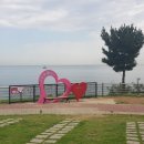 더 원 행정사 사무소 이미지