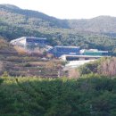 영덕삼성