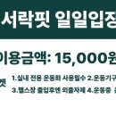 서락핏 네이버블로그